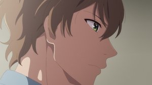 Watashi no Shiawase na Kekkon: Episódio 25
