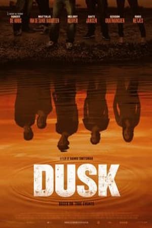 Poster Dusk 2010