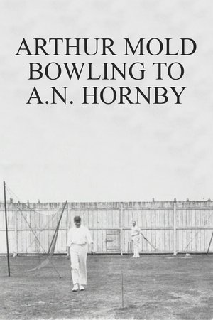 Poster Arthur Mold Bowling to A.N. Hornby 1901