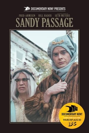 Poster Sandy Passage (2015)