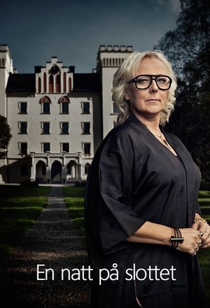 Image En natt på slottet