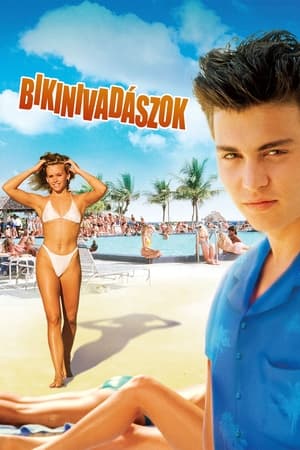 Poster Bikinivadászok 1985