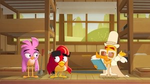 Angry Birds: Summer Madness Misadventures in Hatchling-sitting