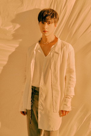 Son Dong-woon portrait