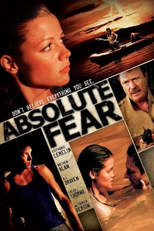 Poster Absolutní strach 2012