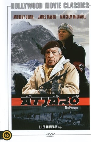 Poster Átjáró 1979