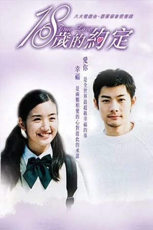 Poster 18歲的約定 2002