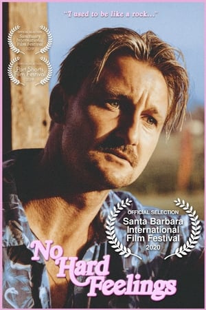 No Hard Feelings film complet