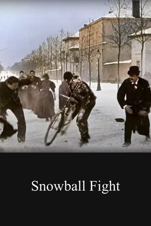 Poster Snowball Fight (1897)