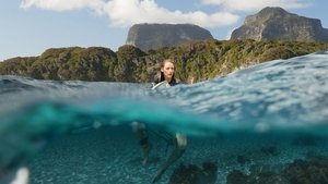 The Shallows (2016) นรกน้ำตื้น