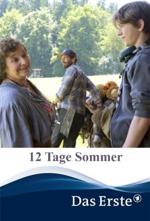 Poster 12 Tage Sommer 2021