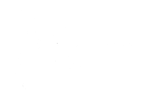 Boiling Life — Logos 4