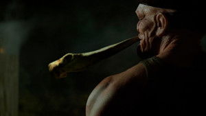 Shiver Me Timbers (2025)