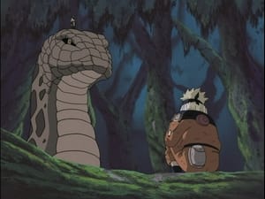 Naruto: 1×29