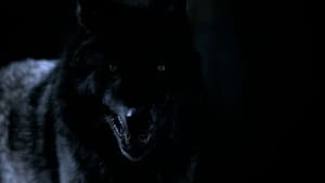 Hemlock Grove Temporada 1 Capitulo 10