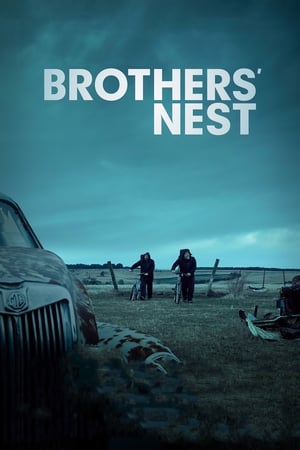 Poster Brothers' Nest 2018