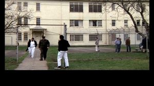 One Flew Over the Cuckoo’s Nest