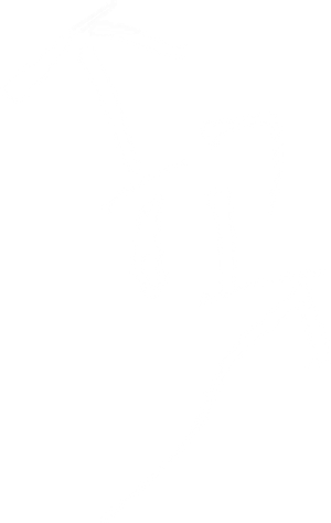The Awl — Logos 1