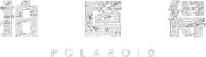 Polaroid — Logos 2