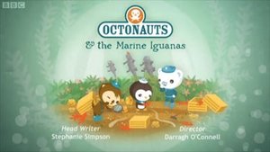 The Octonauts: 1×43