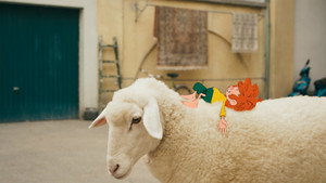 Épisode 13
