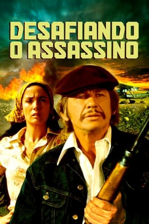 Poster Desafiando o Assassino 1974