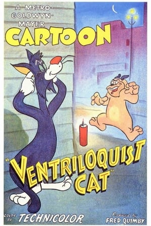 Poster Ventriloquist Cat (1950)