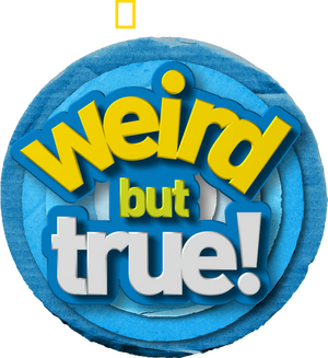 /b4qmtAPUwUuNTHz5l0cV9tn6tTc.png