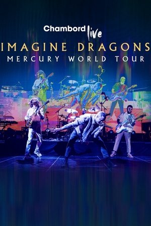 Image Imagine Dragons, live à Chambord