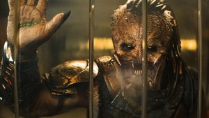 Images posters