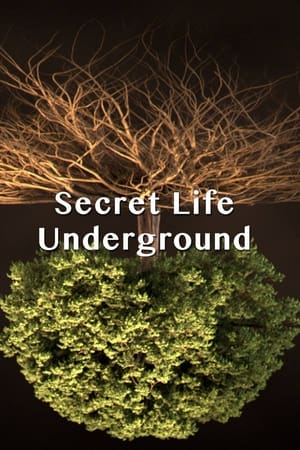 Image Тайна подземной жизни