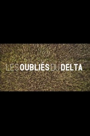 Poster Les oubliés du Delta 2024