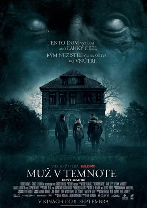 Poster Muž v temnote 2016