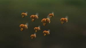 Gather more to pollinate more