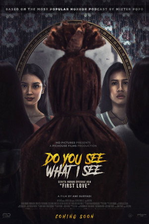 Do You See What I See 15