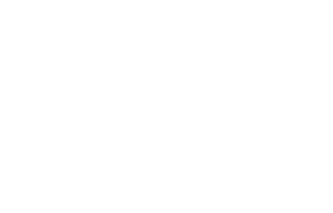 Hip Hop Was Born Here