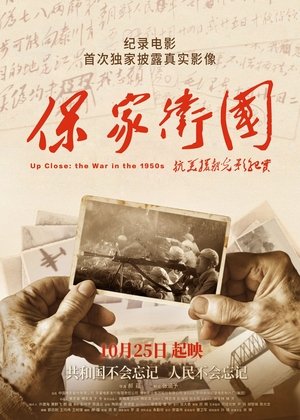 Poster Up Close: the War in the 1950s (2020)