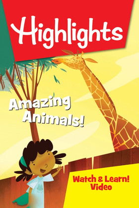 Highlights Watch & Learn!: Amazing Animals!