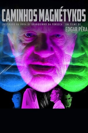 Image Caminhos Magnétykos