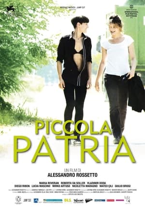 Poster Piccola patria 2013