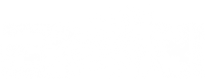 Ảnh 143