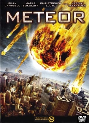 Poster Meteor 2009