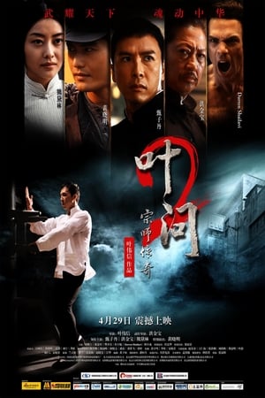 Poster 叶问2 2010