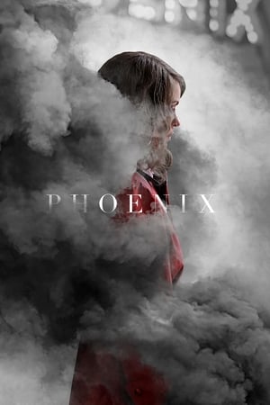 Poster Phoenix 2014