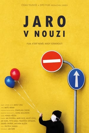 Poster Jaro v nouzi 2020