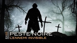 La peste noire, l'ennemie invisible