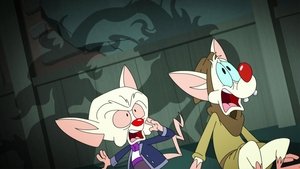 Animaniacs (2020) Temporada 1 Capitulo 12