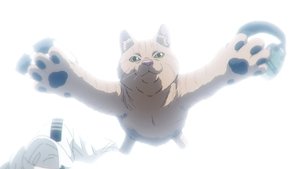 Nyaight of the Living Cat: 1×3