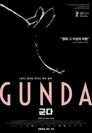 Image 군다