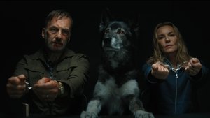Images posters